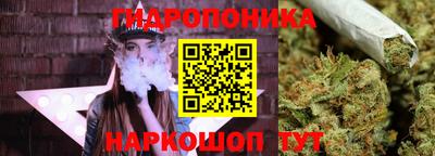 молекула духа Тверь