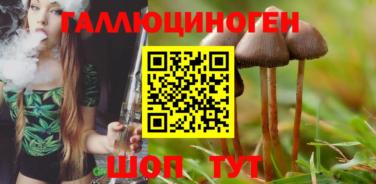 Псилоцибиновые грибы Cubensis  Вход с VPN  Феодосия 